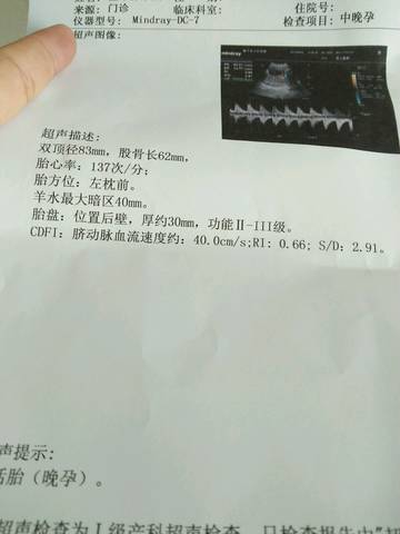 journal_insert_pic_577225950