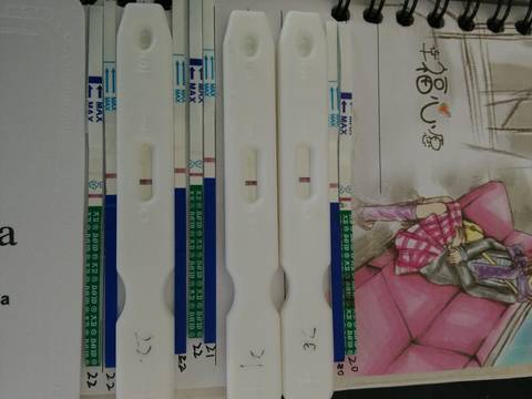 journal_insert_pic_577710270