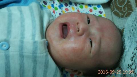 journal_insert_pic_577625284