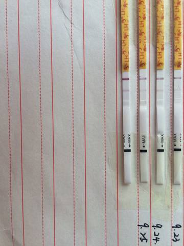 journal_insert_pic_578152649