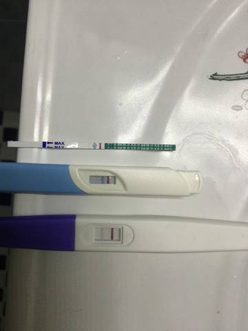 journal_insert_pic_577932261