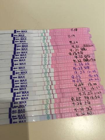 journal_insert_pic_578301589