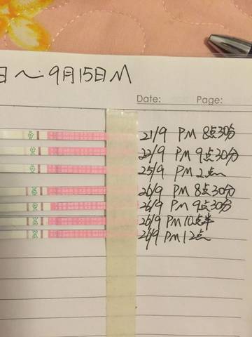 journal_insert_pic_578605255