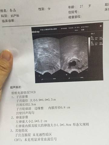 journal_insert_pic_578934328