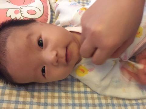journal_insert_pic_579422536