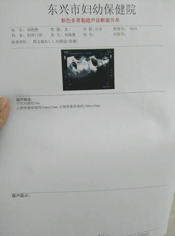 journal_insert_pic_579705180