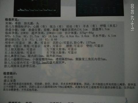 journal_insert_pic_579756524