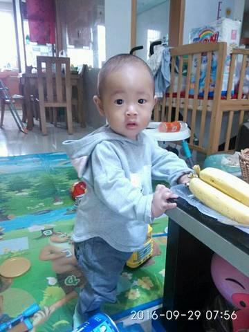 journal_insert_pic_580572832