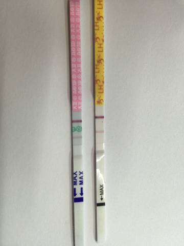 journal_insert_pic_581100876