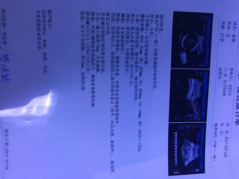 journal_insert_pic_583154399