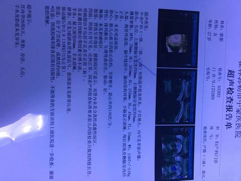 journal_insert_pic_583154412