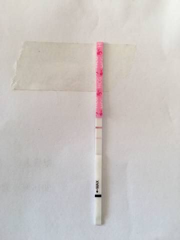 journal_insert_pic_582784086