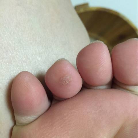 journal_insert_pic_583317092