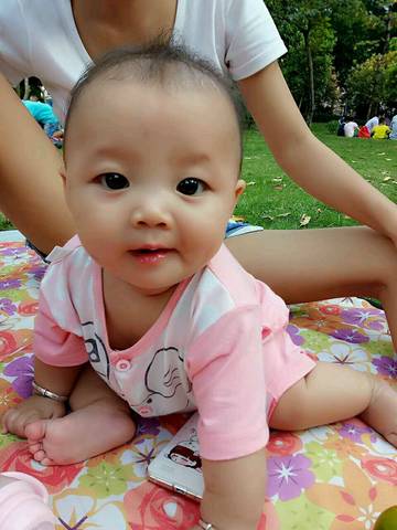 journal_insert_pic_584021531