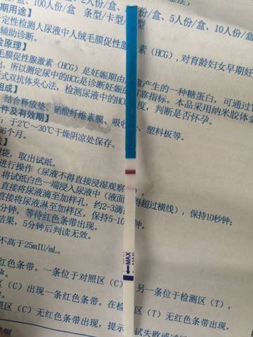 journal_insert_pic_586771877