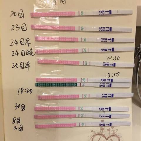 journal_insert_pic_586793773