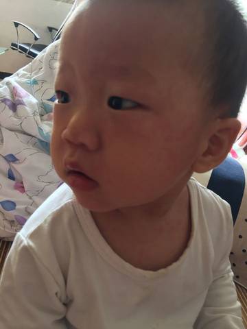 journal_insert_pic_587470621