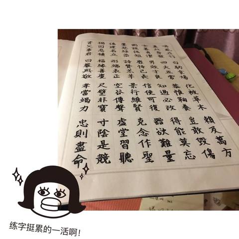 journal_insert_pic_587044237