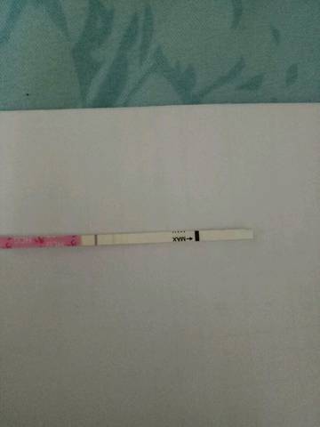 journal_insert_pic_587132216