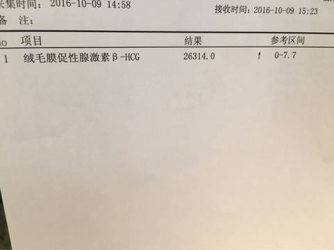 journal_insert_pic_587812898
