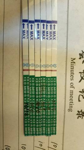 journal_insert_pic_588176839