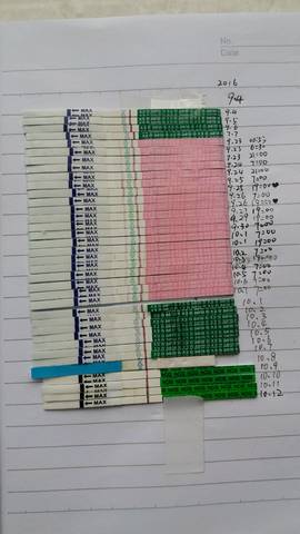 journal_insert_pic_588207248
