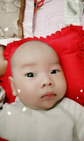 journal_insert_pic_588135181