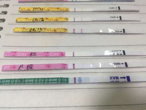 journal_insert_pic_589205787