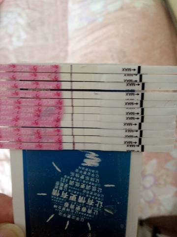 journal_insert_pic_588828360