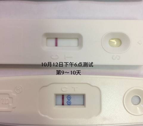 journal_insert_pic_589016419