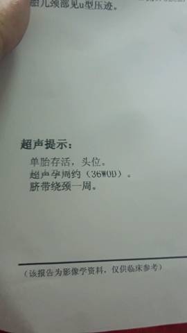 journal_insert_pic_590211412