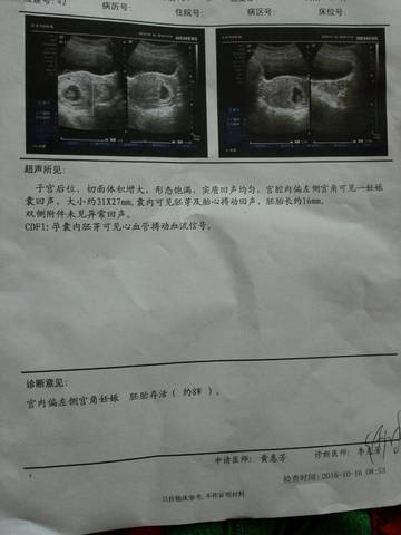 journal_insert_pic_590848368