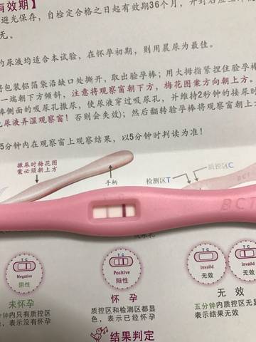 journal_insert_pic_591556420