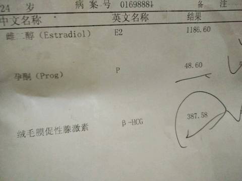 journal_insert_pic_592505414