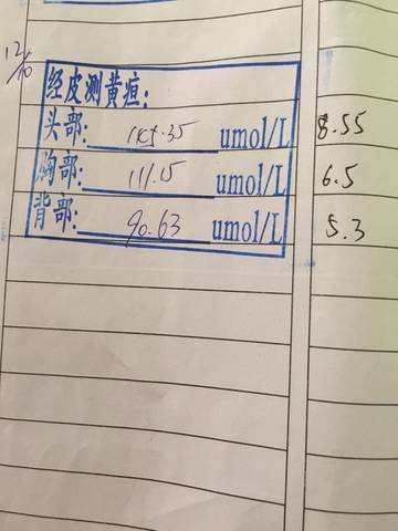 journal_insert_pic_592268614