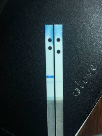 journal_insert_pic_592637676