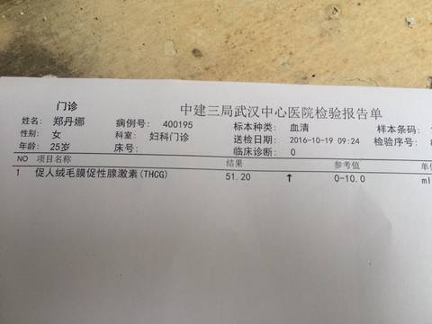 journal_insert_pic_592898051