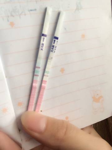 journal_insert_pic_593846142
