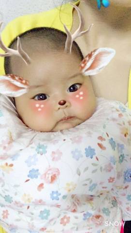 journal_insert_pic_594516345