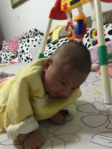 journal_insert_pic_594039131