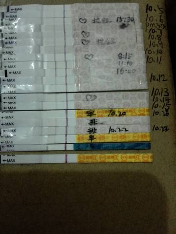 journal_insert_pic_595069572