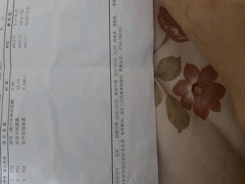 journal_insert_pic_594758409