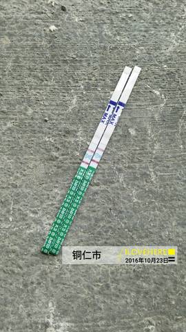 journal_insert_pic_595738822