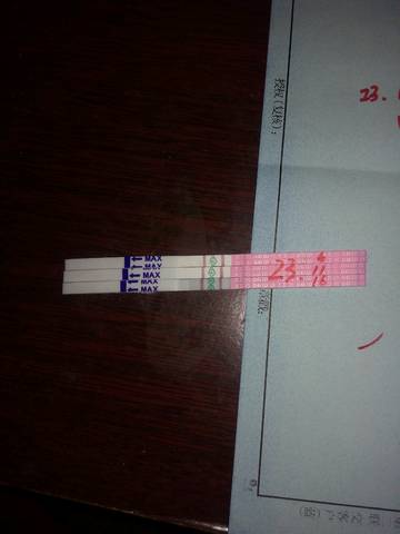 journal_insert_pic_595641342