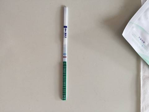 journal_insert_pic_596111032