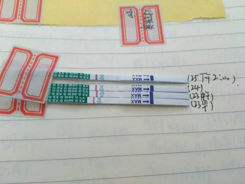journal_insert_pic_596932475
