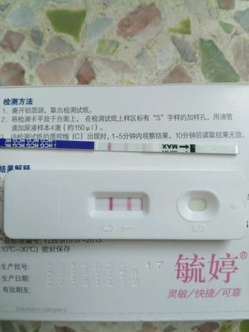 journal_insert_pic_597099197