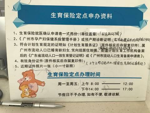 journal_insert_pic_597537371