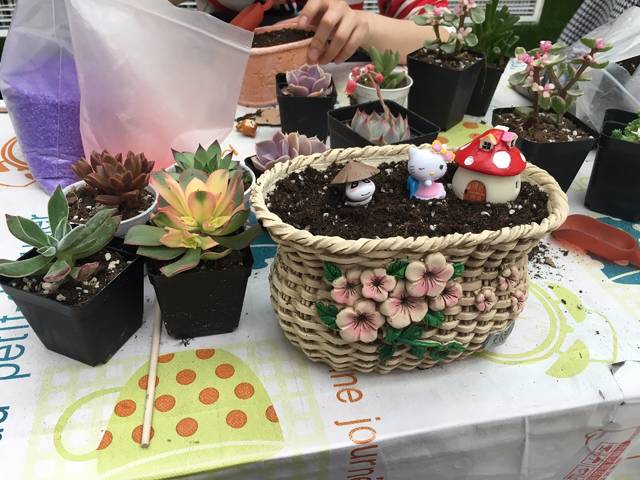 journal_insert_pic_598035119