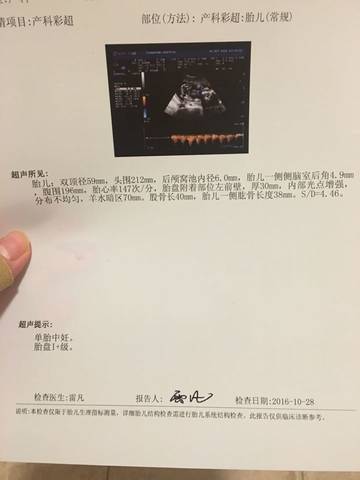 journal_insert_pic_599427730